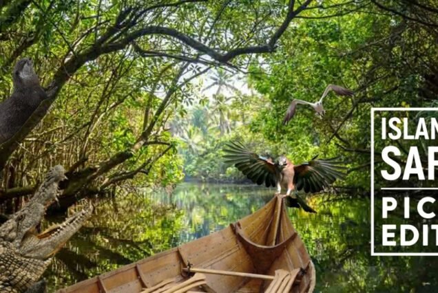 Island Safari